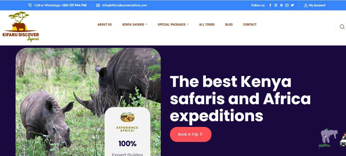 Tours and Travel website design in Kenya